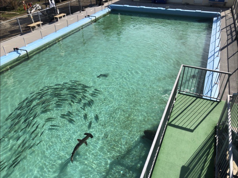 むろと廃校水族館